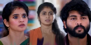 veera 2.webp