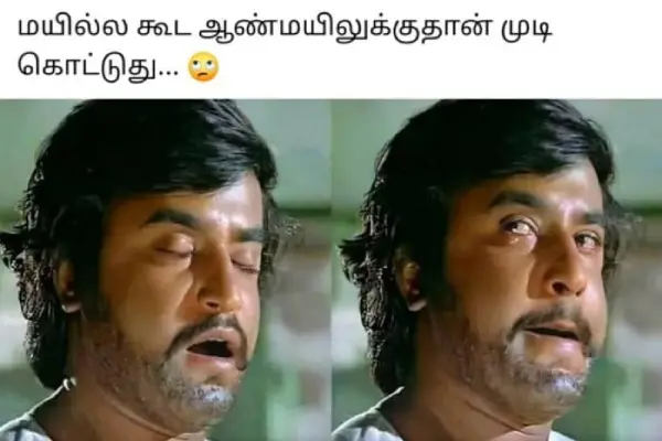 யாருடா வீட்டுக்குள்ள முடி வெட்டுனது.. ஐயோ அப்பா அது வெட்டுனதில்ல என் தலையிலருந்து கொட்டுனது, ட்ரெண்டிங் மீம்ஸ் - Cinemapettai 6 1752650335 532 யாருடா வீட்டுக்குள்ள முடி வெட்டுனது ஐயோ அப்பா அது வெட்டுனதில்ல என் தலையிலருந்து.webp
