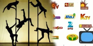 tv channels.webp