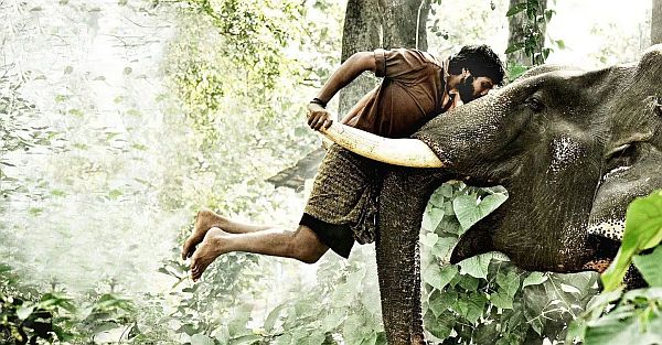 முதல் பாகம் ஹீரோக்கள் இல்லாமல் வரும் 2 இரண்டாம் பாகம் படங்கள் காதலியை